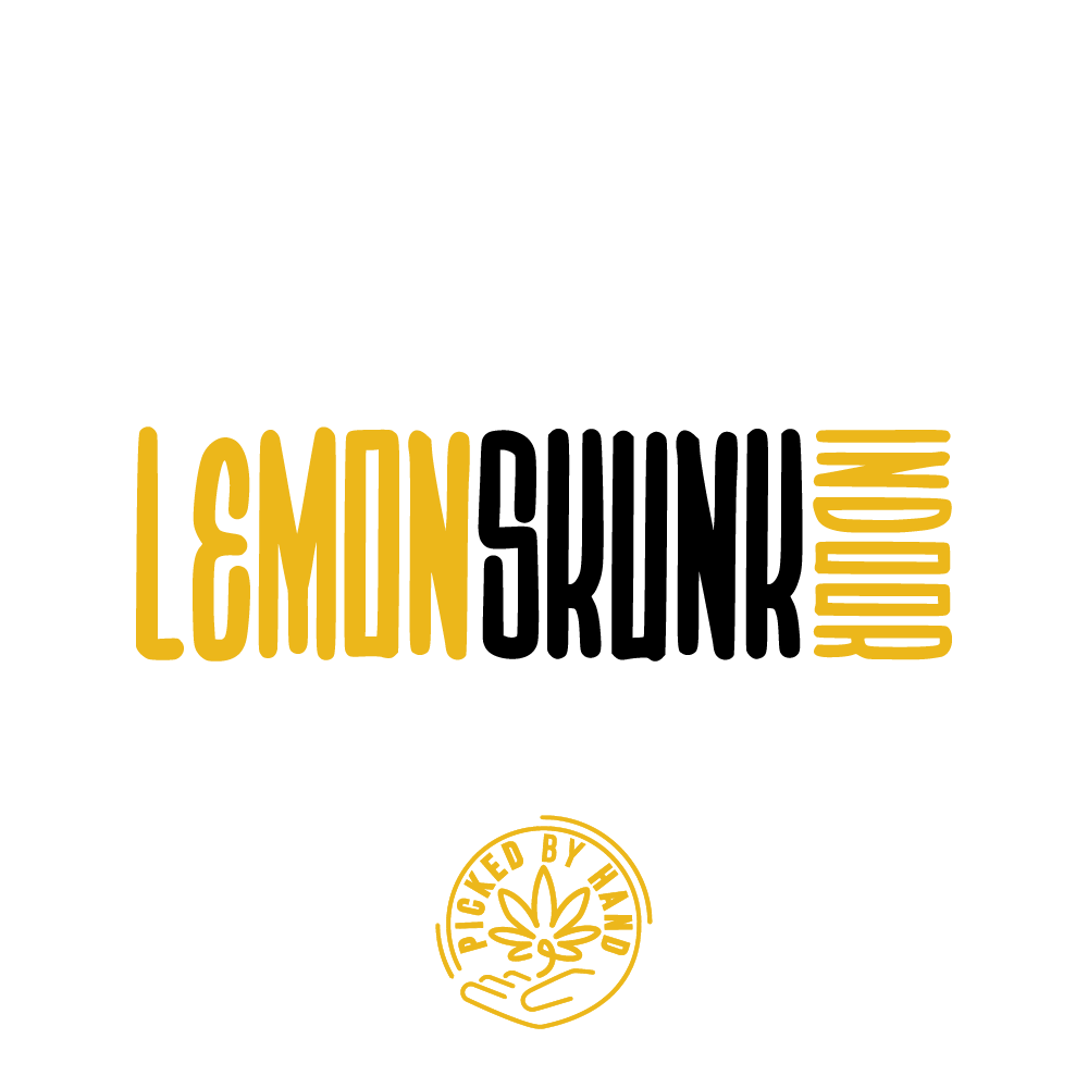 Lemon Skunk Indoor