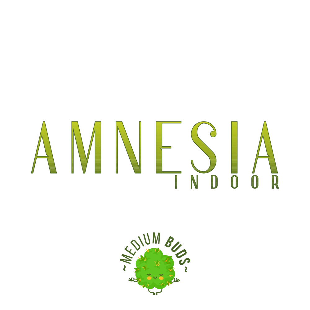 Amnesia Indoor Medium Buds