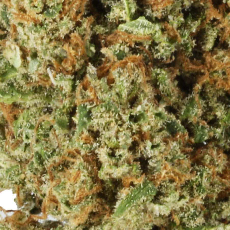 California Indoor