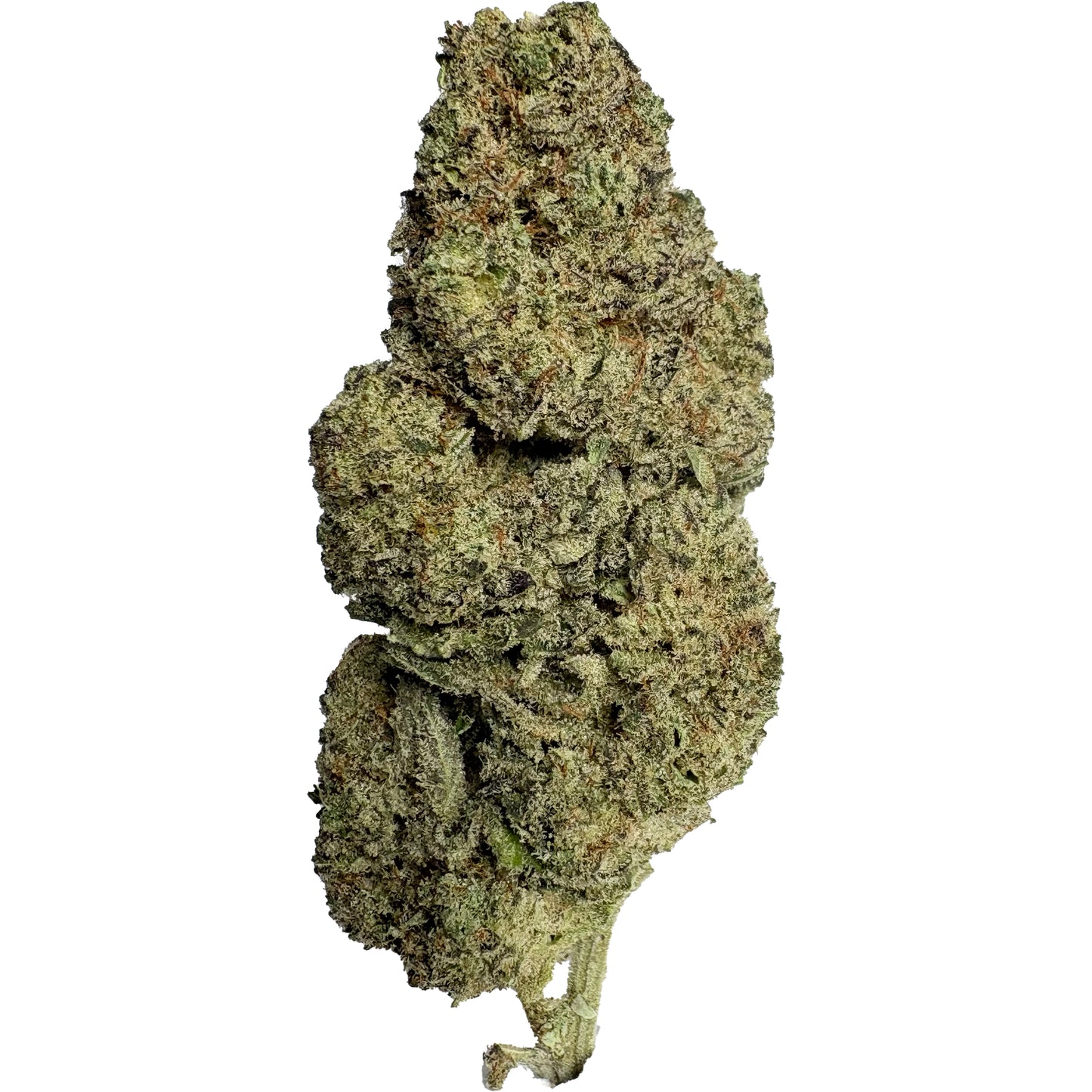 Crystal Indoor 2.0 Indoor