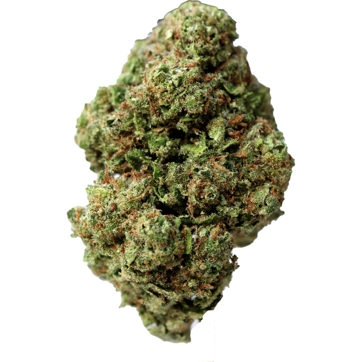 Lemon Skunk Indoor Medium Buds
