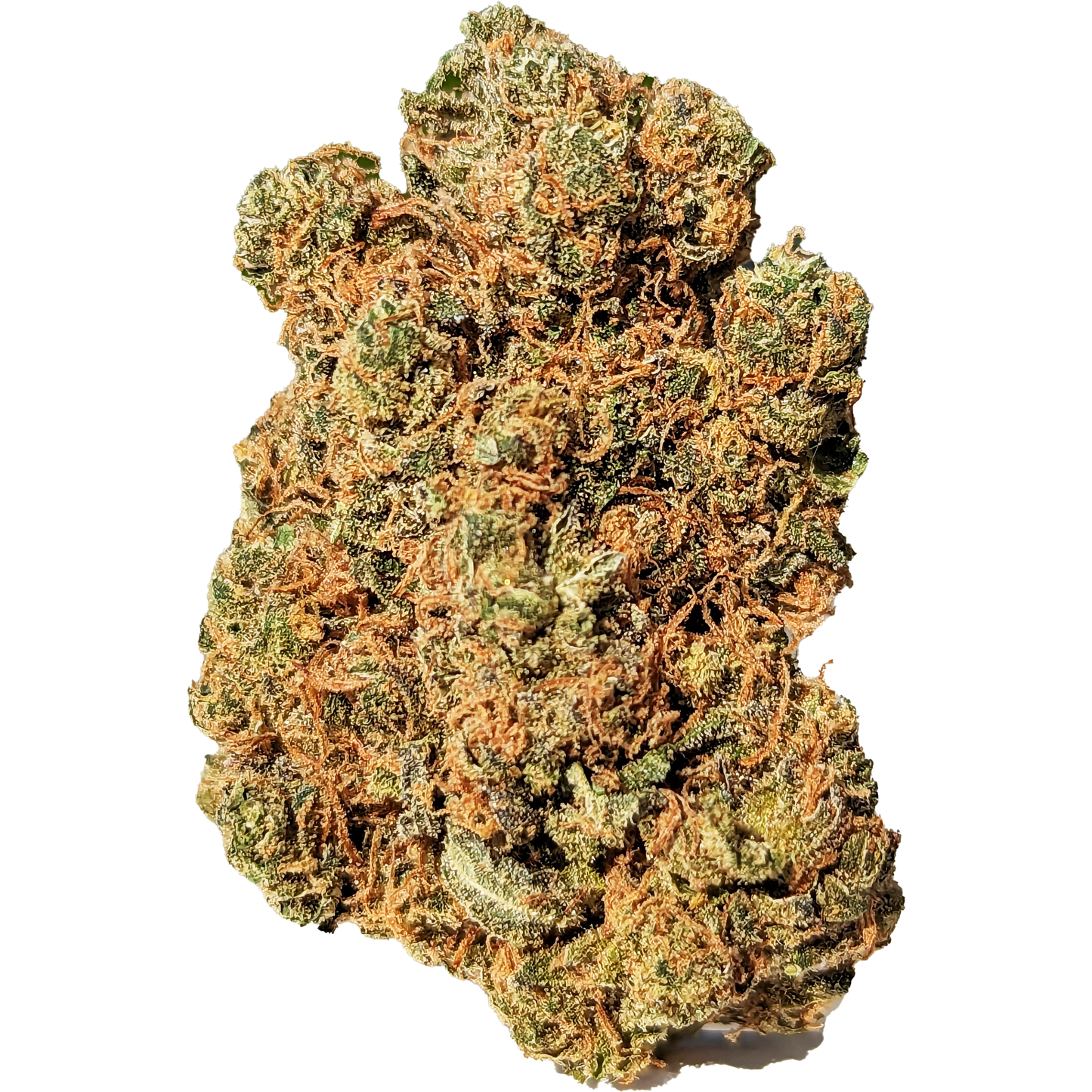 Mango CBD