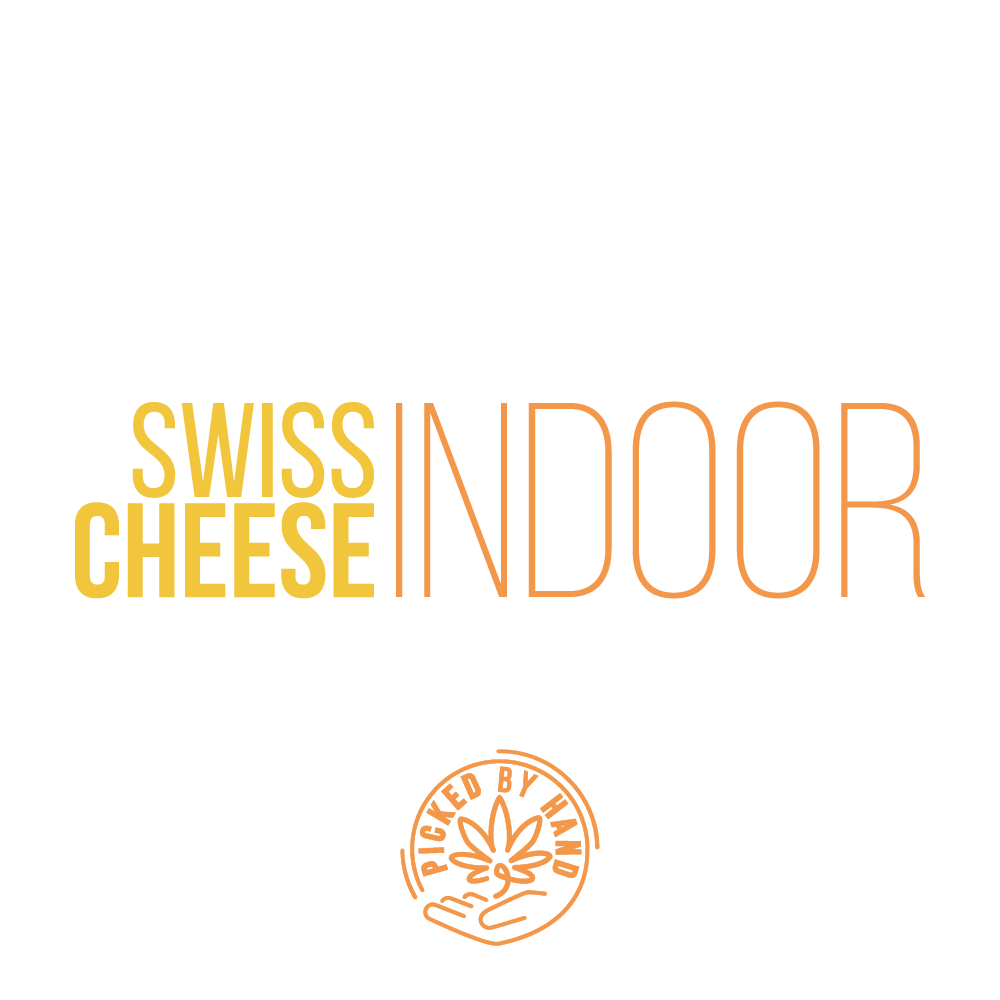 Swiss Cheese Indoor