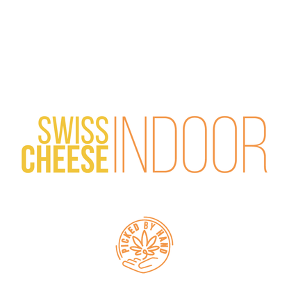 Swiss Cheese Indoor