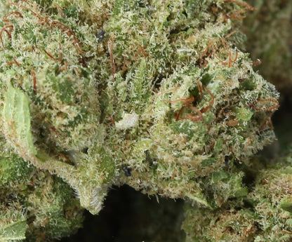 California Indoor Medium Buds