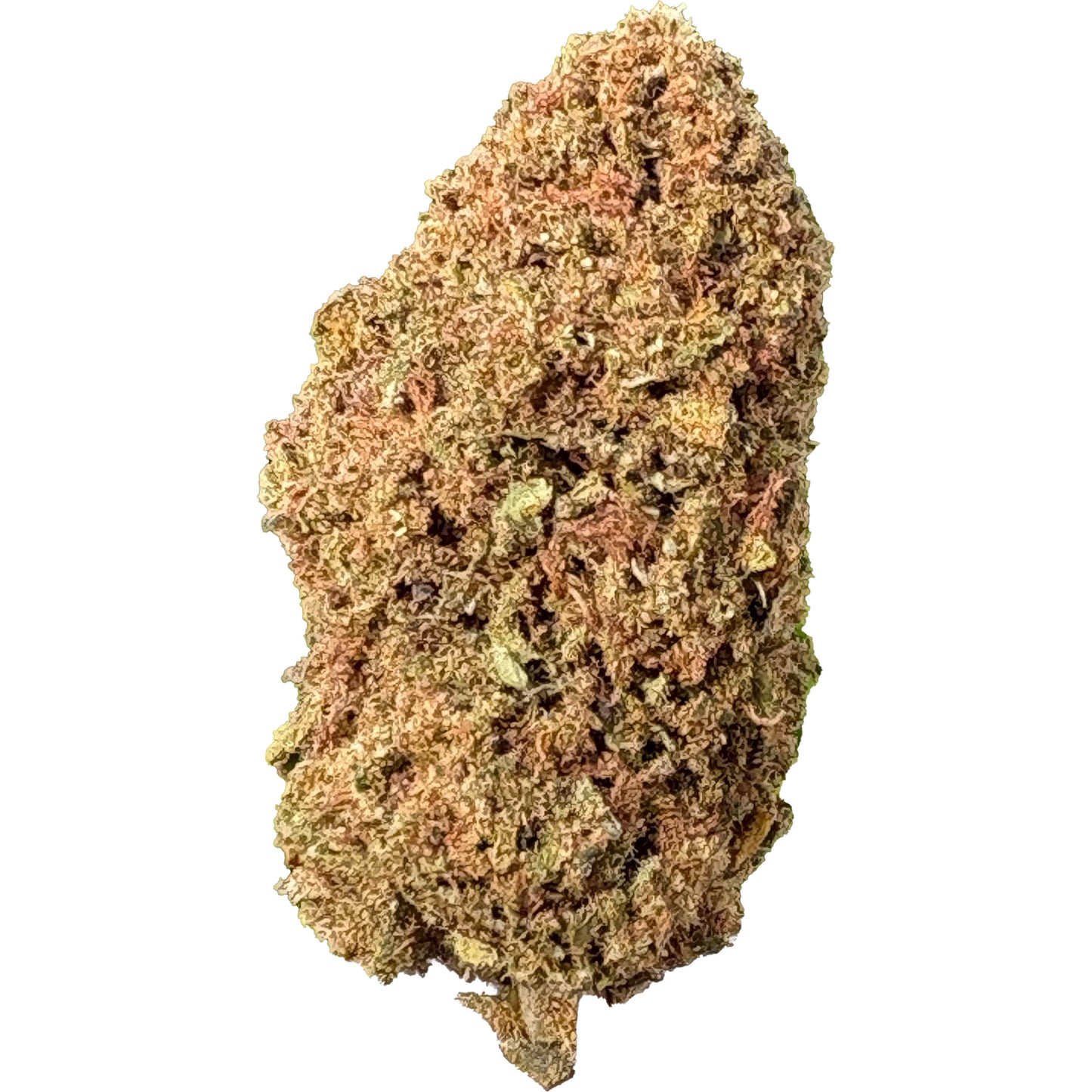 Jack Flash Indoor