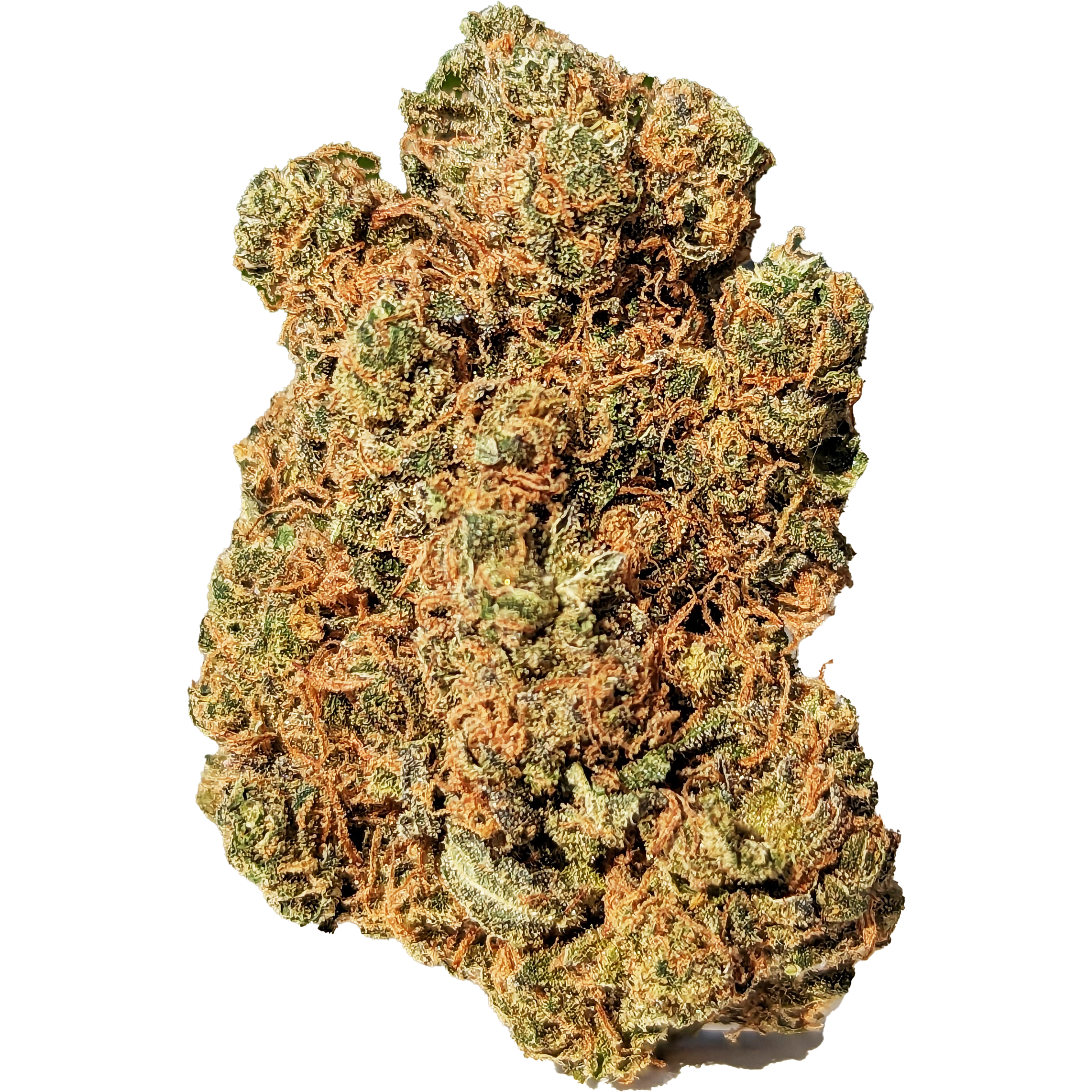 Mango CBD